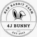 4J Bunny-4jbunny