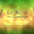 user05154134732-la_rosa._.de_guadalupe