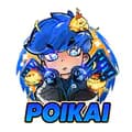 POIKAI-poikai4