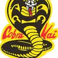 cobra kai-cobrakais03