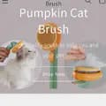 Pumpkin cat brush-pumpkincatbrush