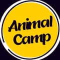 The Animal Camp-theanimalcamp