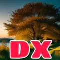 DX TRADING-silentrider4321