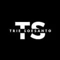 Trie3-triesoesanto1