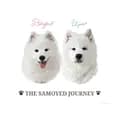 อูยูบิงซู&ทูยู ซามอยด์พาเที่ยว-thesamoyed.journey