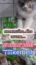 โอธี-เสน่ห์ขลุ่ยไทย-otthaiflute2518