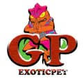 gpexoticpet02-gpexoticpet02