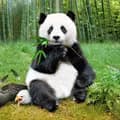 Panda-mengxinq8899