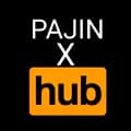 user25392384996-pajinxhub