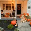 pumpkin porch designs-pumpkin.porch.des