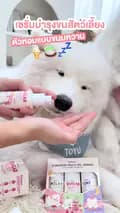 อูยูบิงซู&ทูยู ซามอยด์พาเที่ยว-thesamoyed.journey