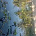 Mancing_mania-mancing_adja