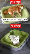 Aicare Pet Studio-aicare2