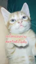 #น้องแพร-deemah024