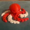 Octo 3D Printing-alecprints