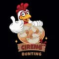 Cireng Bunting-cirengbunting.id