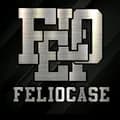 FelioCase-feliocase