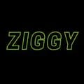 TryZiggy-tryziggy