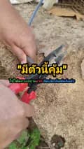 มันต้องมีนะช่าง-muntongmee