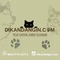 DIKANDANGIN_COM-dikandangin_com