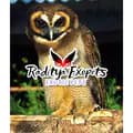 Raditya_Exopets-raditya_exopets