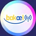 BakoelWireless-bakoelwireless