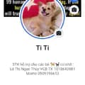 Mái Ấm TiTi _ Pet Adoption-thuyle19820