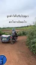 ดีทับผึ้งการเกษตร-dtpkaset