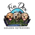 FinDox Golden Retrievers-goldengangofmaine