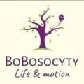 โบโบ้-bobosocyty