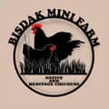 BISDAK MINI FARM-bisdak1205