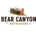 bearcanyonretrievers-bearcanyonretrievers