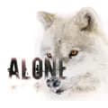 w.o.l.f.alone_official-w.o.l.f.alone_official