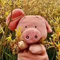 Wibbs The Pig 🐷-wibbsthepig