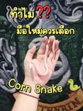 🐍💫 สมศรีมีงู 💫🐍-iamathicha