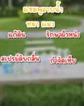 นี่ก้อยเอง-supatcharath