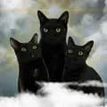LA Black Cats-lablackcats