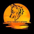 Apis Thrift Store-apisthriftstore2