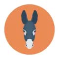 Donkey channel-donkey.channel.43