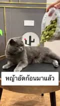 Catstorebymuanim รับรีวิว-catstorebymuanim