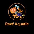 Reef Aquatic-reef.aquatic