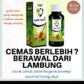 OBAT HERBAL ALAMI-bundahamida99