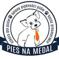 Pies na Medal- Salon Piękności-piesnamedal_psifryzjer