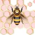 Hive Boutique-the_hive304