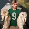 Johan and His Cats-johanandhiscats