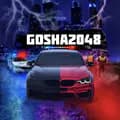 Gosha2048-gosha2048_suetolog