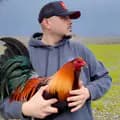 Arrowhead_Gamefarm-el_gallo.jugado