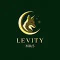 Levity 🌌-levity.ms