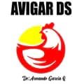 AVIGAR DS-avigards