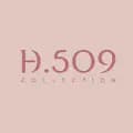 H.509 Collection-h.509collection
